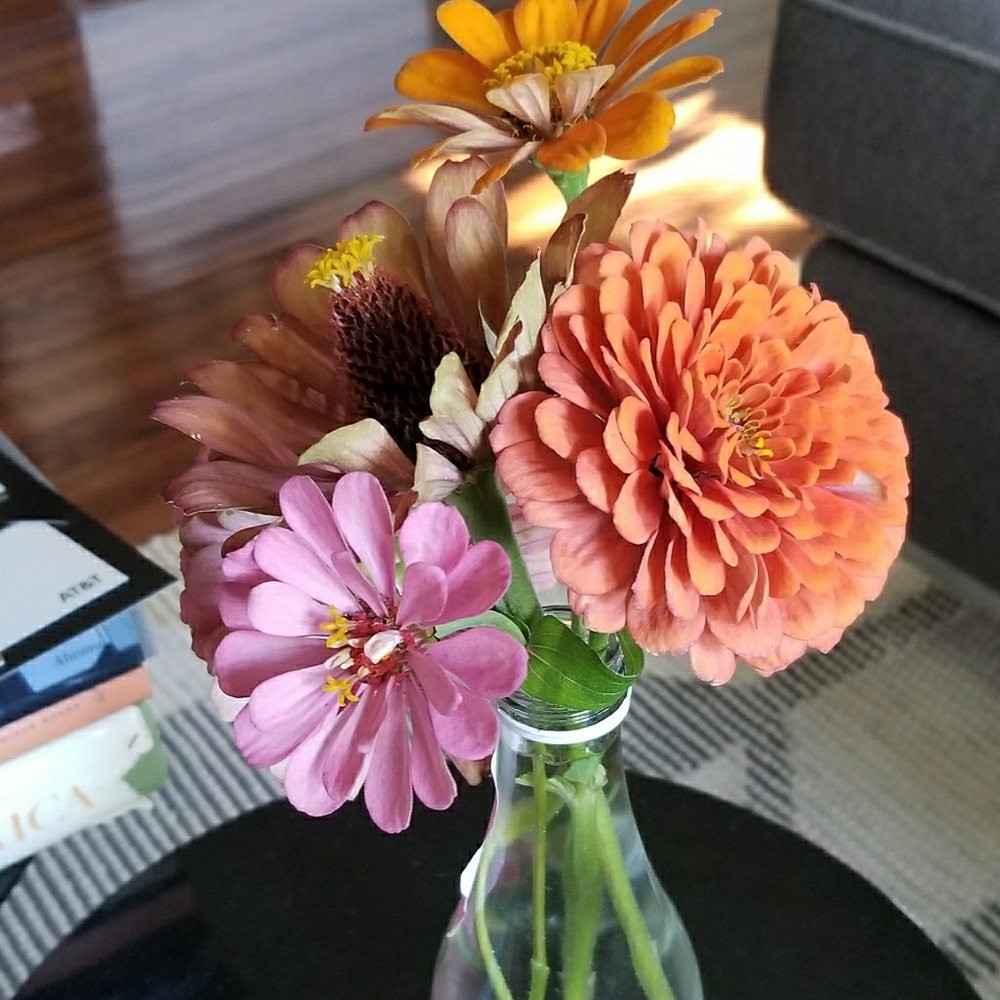 Meet your Posher, Brooke